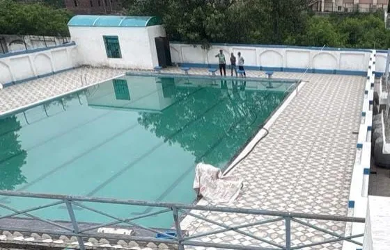 79458522