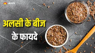 अलसी के बीज खाने से मिलेंगे कमाल के फायदे (Picture Courtesy: Freepik)
