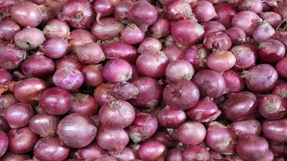 बढ़ने लगे प्याज के दाम; 80 रुपये किलो तक पहुंचा भाव