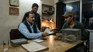 नारनौल में कांटेदार चूहे के नाम पर ठगी। AI जनरेटेड