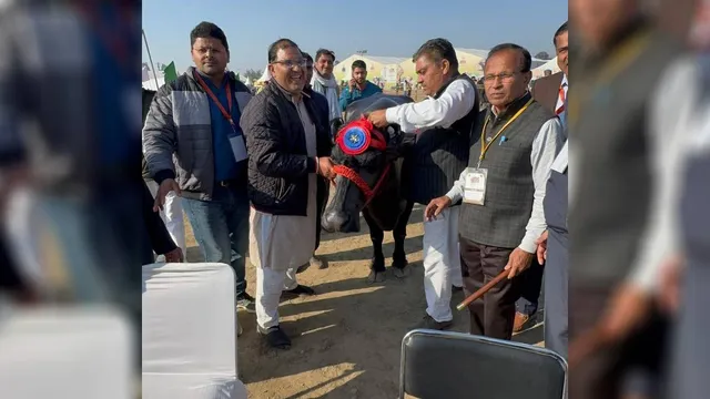 दुनिया को दूध का दम दिखाने वाली ‘राधा’ नहीं रही, 35 KG से अधिक दूध देकर बनाया था विश्व रिकॉर्ड; PM से भी मिला था सम्मान