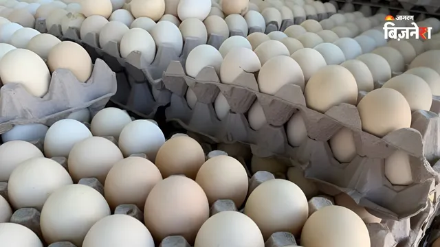https://www.jagranimages.com/images/2026/08/30/template/image/egg-1788083559448.webp