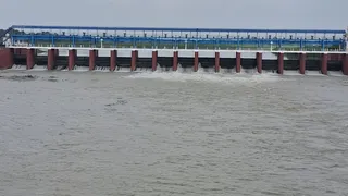 प्रतीकात्मक तस्वीर।