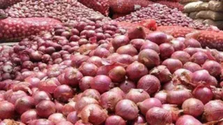 प्याज सामान्य होने के लिए माह भर का करना होगा इंतजार