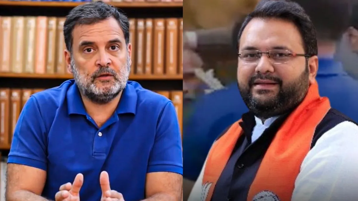'म्यूजिकल कॉन्सर्ट के लिए आते हैं लोग', हेमांग जोशी ने राहुल गांधी के इवेंट्स का उड़ाया मजाक