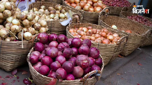 https://www.jagranimages.com/images/2026/08/31/template/image/onion-pic-1788175608347.webp