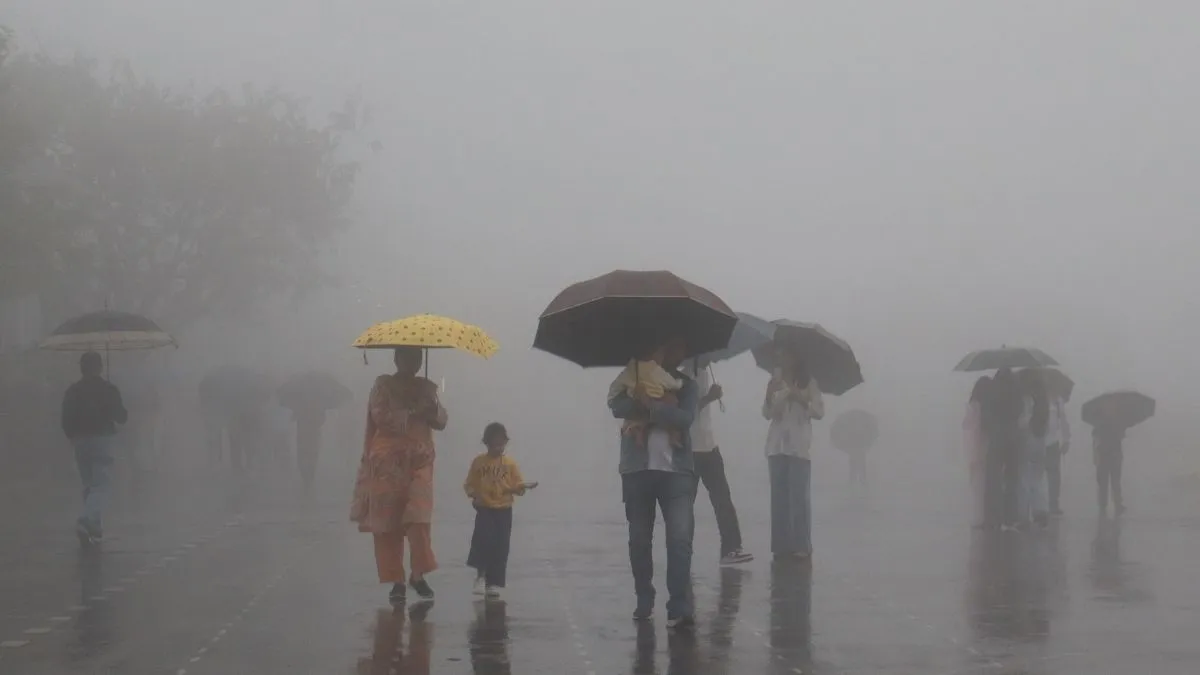 rain all ani