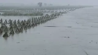 प्रतीकात्मक तस्वीर।