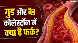 कोलेस्ट्रॉल ही नहीं, हार्ट अटैक से बचने के लिए इन 5 जोखिमों पर भी दें ध्यान (Picture Credit- AI Generated)
