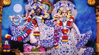 ईस्ट ऑफ कैलाश स्थित इस्कॉन मंदिर को भगवान श्रीकृष्ण के प्रिय मयूर (मोर पंख) थीम, फूलों और रंग-बिरंगी रोशनी से सजाया जा रहा है।