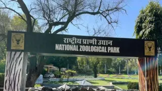 Delhi-ZOO-1781449233944_m
