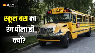 बच्चों की सुरक्षा से जुड़ा है स्कूल बसों का पीला रंग (Picture Courtesy: Freepik)