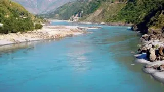 चिनाब की मछलियों के अंगों तक पहुंचा ‘जहर’, शोध में खुलासा । (फाइल फोटो)