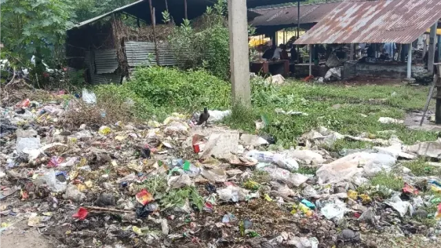 मुसाबनी में जगह-जगह कचरे का अंबार, बरसात के बाद दुर्गंध और बीमारियों के खतरे से परेशान ग्रामीण
