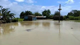 सुपौल में फिर कोसी का तांडव