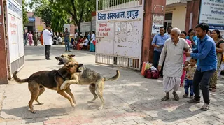 सांकेतिक तस्वीर एआई जनरेटेड