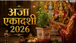 तुलसी से जुड़े आसान उपाय (AI-Generated Image)