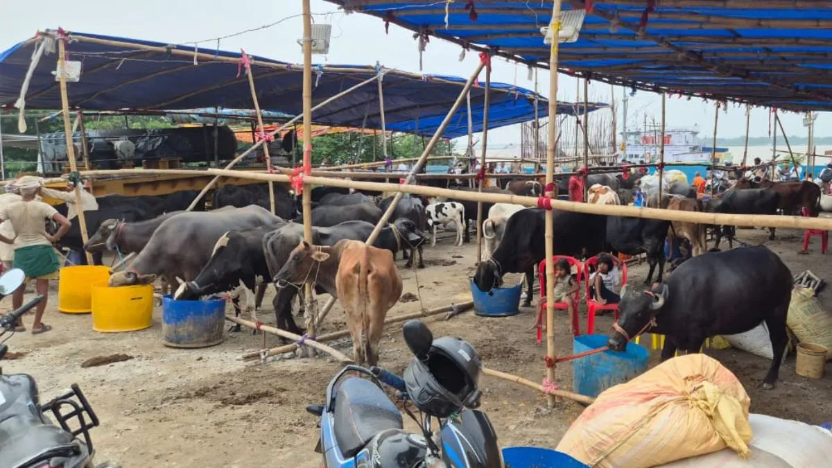danapur 1