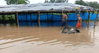 बाढ़ से प्रभावित महुआ गोशाला में भरा पानी। ग्राम पंचायत