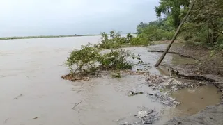 गंगा की धार में समाता वन क्षेत्र। जागरण