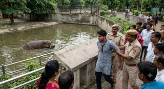 यह तस्वीर AI जेनेरेटेड है