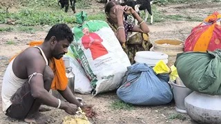 Bhagalpur Ganga Katav Ground Report: छोटी अलालपुर में 12 दिनों से आफत, मकई की फसल डूबी; टॉर्च की रोशनी में रातभर पहरेदारी कर रहे ग्रामीण
