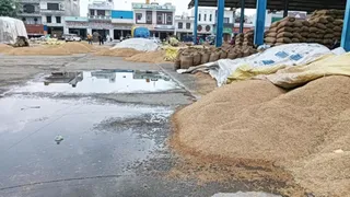 छत्तीसगढ़ में बारिश में भीग रहा 488 करोड़ का धान (सांकेतिक तस्वीर)