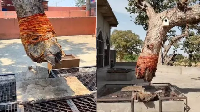 हरियाणा: हांसी में समाधा मंदिर मार्ग बनेगा स्मार्ट रोड, 7 सेल्फी प्वाइंट से बढ़ेगा आकर्षण
