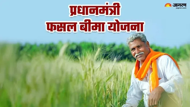 प्रधानमंत्री फसल बीमा योजना की अंतिम तिथि बढ़ी, हरदोई में किसानों ने रिकॉर्ड संख्या में कराया बीमा