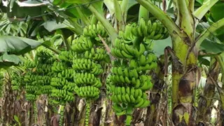 प्रतीकात्मक तस्वीर