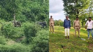 मध्य प्रदेश से प्रयागराज के कोरांव में आया 'कालर नंबर वन' हाथी व निगरानी करते वनकर्मी। जागरण