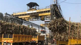डिजिटल स्ट्राइक के कारण प्रबंधन को करीब 100 करोड़ रुपये की भारी वित्तीय क्षति का अनुमान है। फाइल फोटो