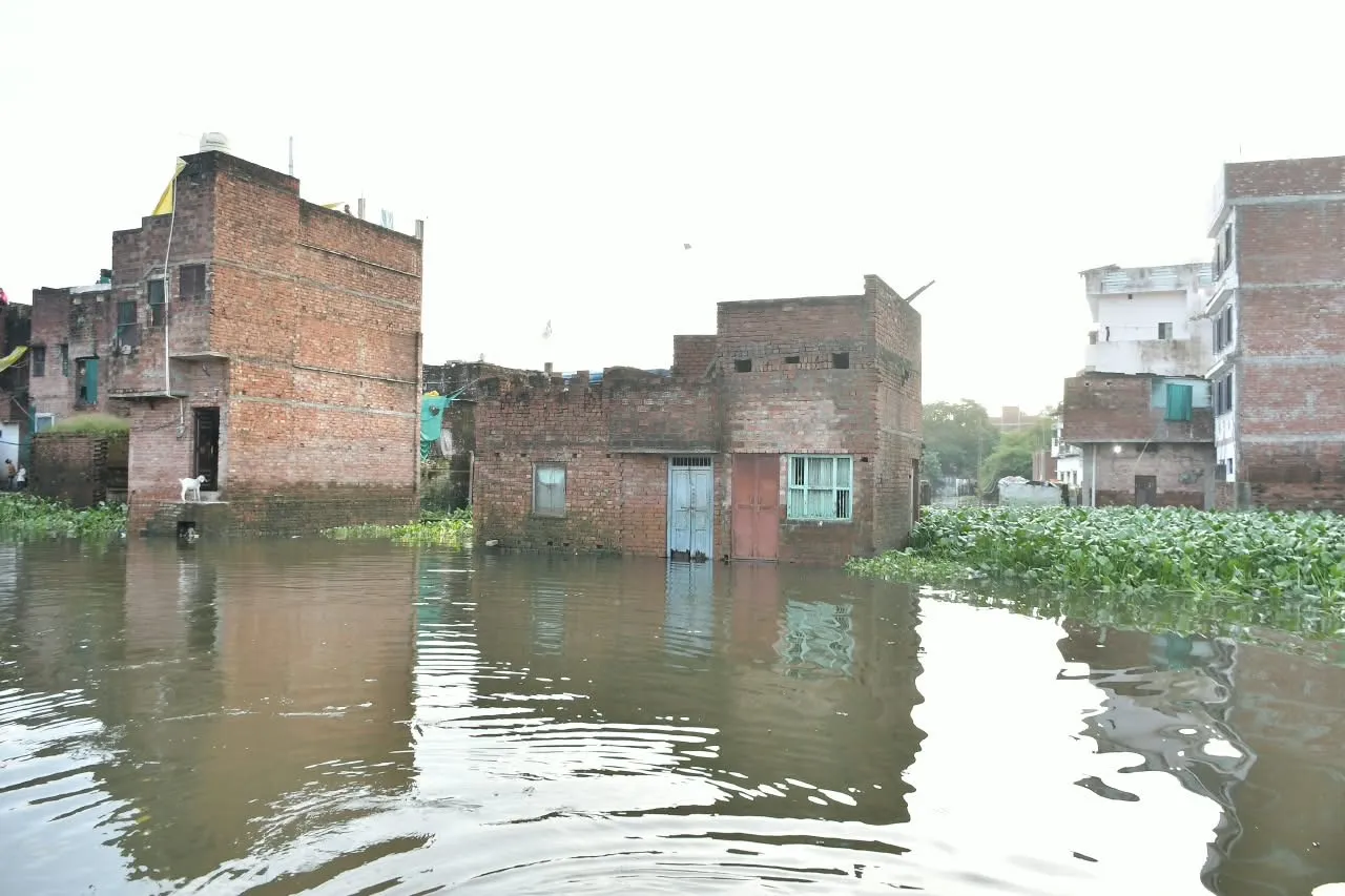 flood4