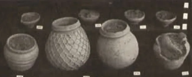 sand utensils 854748