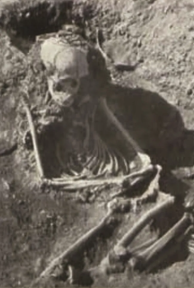 skelation in ujjain 8595