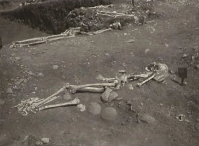 skelation in ujjain 8596