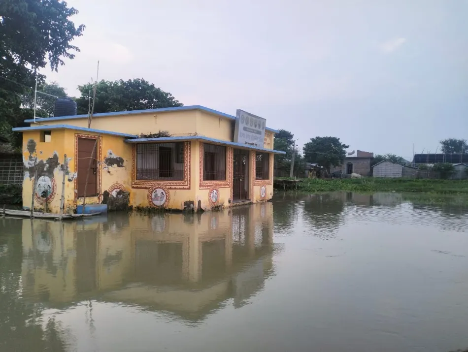 79773240