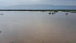 गढ़वा जिले के हरिहरपुर से होकर गुजर रही सोन नदी। (जागरण)