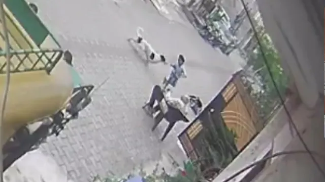 लुधियाना में आवारा कुत्ते का आतंक, गली में खेल रहे 4 वर्षीय बच्चे को नोचा
