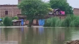 छतों और तटबंधों पर त्रिपाल के सहारे जिंदगी