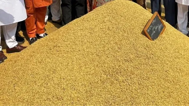 किसानों के लिए अच्छी खबर, पंचकूला जिले की तीन मंडियों में 1 अक्टूबर से होगी धान की खरीद
