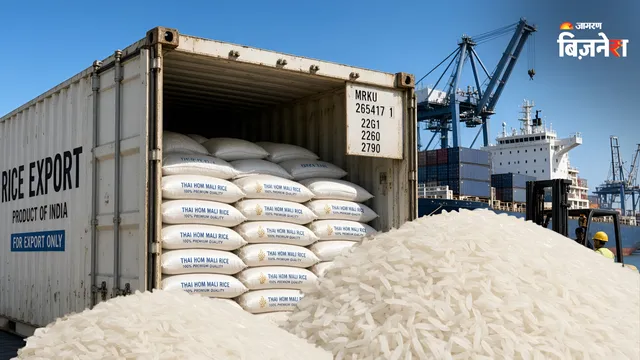 https://www.jagranimages.com/images/2026/09/08/template/image/RICE-(2)-1788874099669.webp