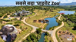 अंबानी का वंतारा: एशिया का सबसे बड़ा निजी चिड़ियाघर? ₹2000 करोड़ हुए खर्च (AI की मदद से बनाई गई फोटो)