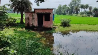 सरकारी स्कूल में चारदीवारी न होने से बढ़ा जलजमाव