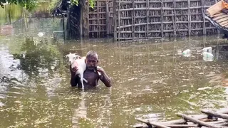 बाढ़ प्रभावित क्षेत्रों में पशुओं के लिए चारा-दवा की विशेष व्यवस्था (ANI)