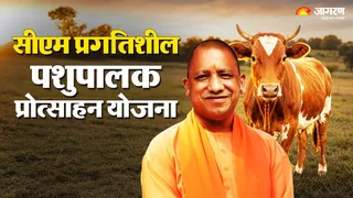 UP Pashupalak Yojana | मुख्यमंत्री प्रगतिशील पशुपालक प्रोत्साहन योजना।