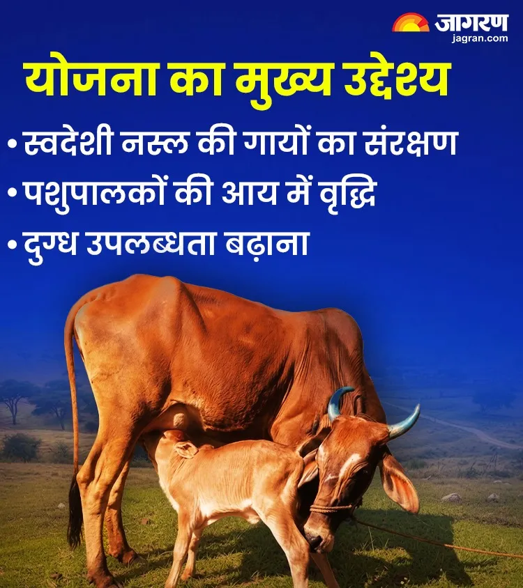 WhatsApp Image 2026-09-08 at 2.02.37 PM