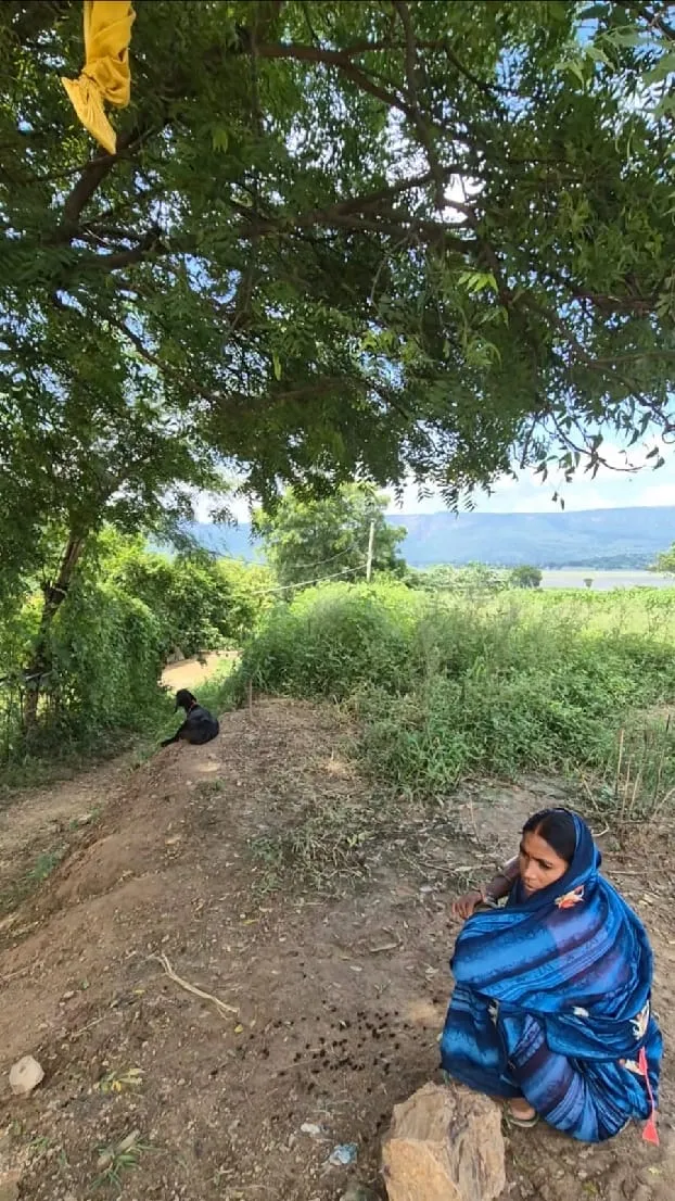digital india