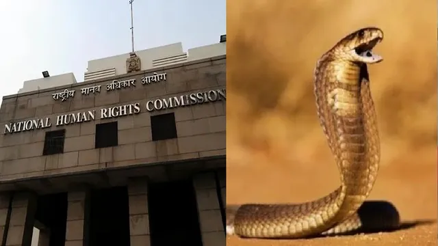 यूपी में सर्पदंश से मौत पर बवाल, NHRC ने देश के सभी राज्यों और केंद्र शासित प्रदेशों को जारी किया नोटिस