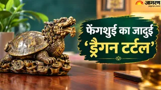 'ड्रैगन टर्टल' से जुड़े फायदे (AI-Generated Image)